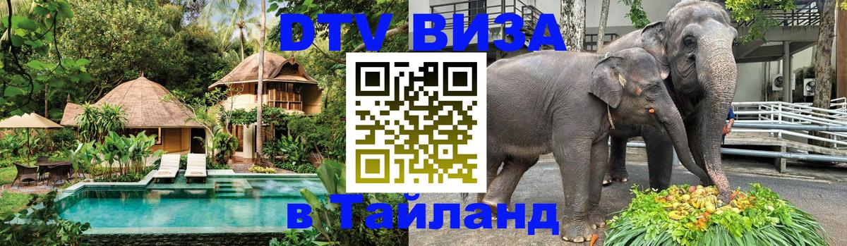 DTV Visa Тайланд купить Березники 
